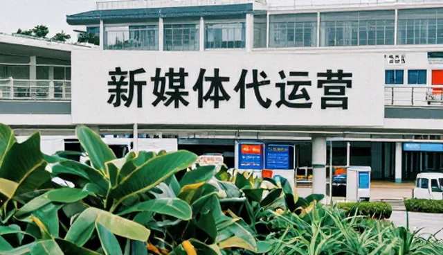 新媒体代运营中媒介投放的实际问题及优化方向